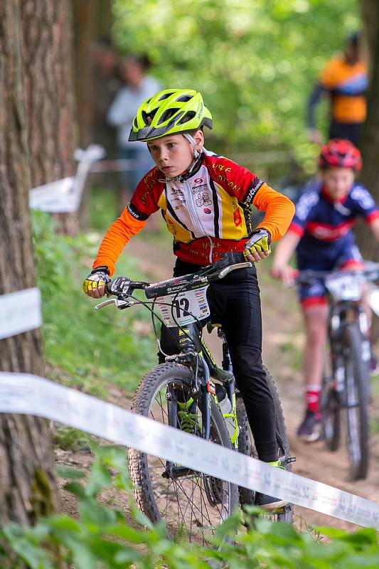 Závod na horských kolech pro širokou veřejnost od 2 let.Adrenalinová trať ve Slavkovském lesíku s překážkami.