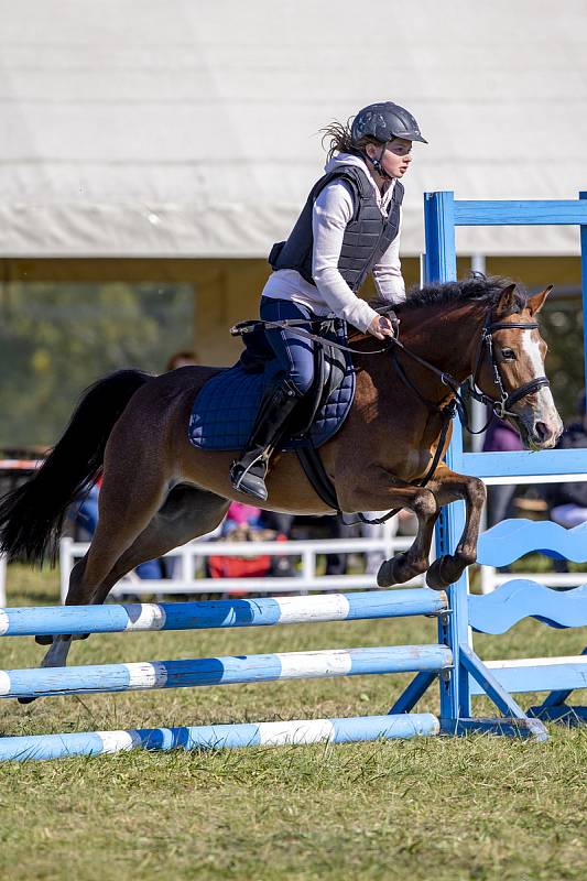 Parkúrový závod Procamping Cup v areálu Jezdeckého klubu Opava-Kateřinky, 30. září 2018.