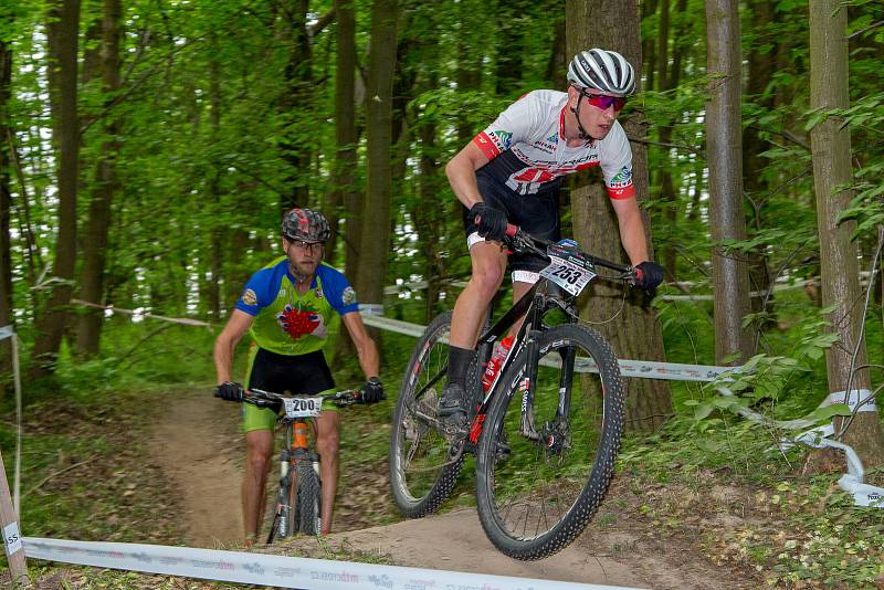 Závod na horských kolech pro širokou veřejnost od 2 let.Adrenalinová trať ve Slavkovském lesíku s překážkami.