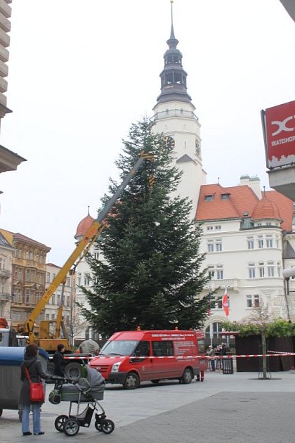 Opava má od úterka svůj vánoční strom. Tentokrát zdobí Horním náměstí a je původem až ze Štemplovce.