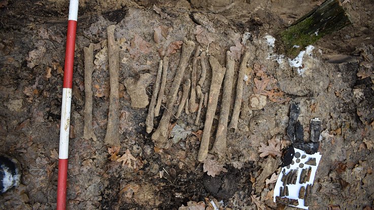 Takto vypadal ani ne rok a půl starý nález kosterních pozůstatků německého vojáka u Borové poblíž Bolatic. Zahrada rodinného domu, kde byly před několika dny nalezeny další ostatky, se nachází nedaleko odsud.