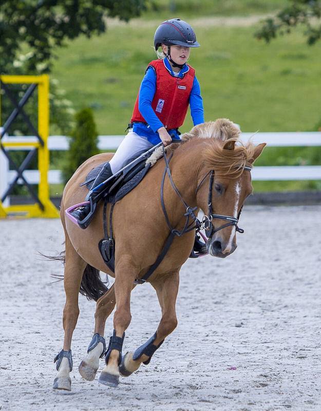 Jezdecký klub Kateřinky poprvé připravil prestižní Národní skokový pohár ČJF a Styl šampionát PONY 2017. Na jeho kolbišti se ho během víkendu zúčastnili mladí čeští, slovenští a polští jezdci se svými poníky.