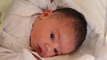 Elizabeth Segetová se narodila 22. října 2019, vážila 3,73 kilogramu a měřila 50 centimetrů. Rodiče Sabina a Rostislav ze Služovic přejí své prvorozené dceři do života zdraví a štěstí.