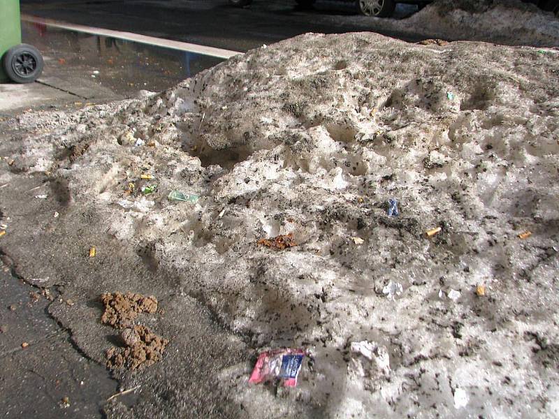 PET lahve, papírky, sáčky, krabičky od cigaret, nedopalky, střepy a psí výkaly. To je jen zlomek toho, co v těchto dnech odkryl sníh v ulicích Opavy. 