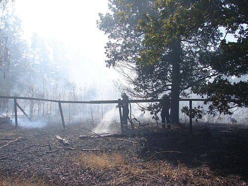 Nedbalost neznámých lidí, kteří na okraji lesa mezi Pustou Polomí a Budišovicemi založili oheň, vedla k požáru, jež nakonec zasáhl šest hektarů stromového a jiného lesního porostu.