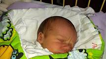 Sebastian Elbl se narodil 25. února, vážil 3,06 kilogramů a měřil 48 centimetrů. Rodiče Hana a Lukáš z Opavy mu přejí do života jen to nejlepší a aby byl zdravý a šťastný.