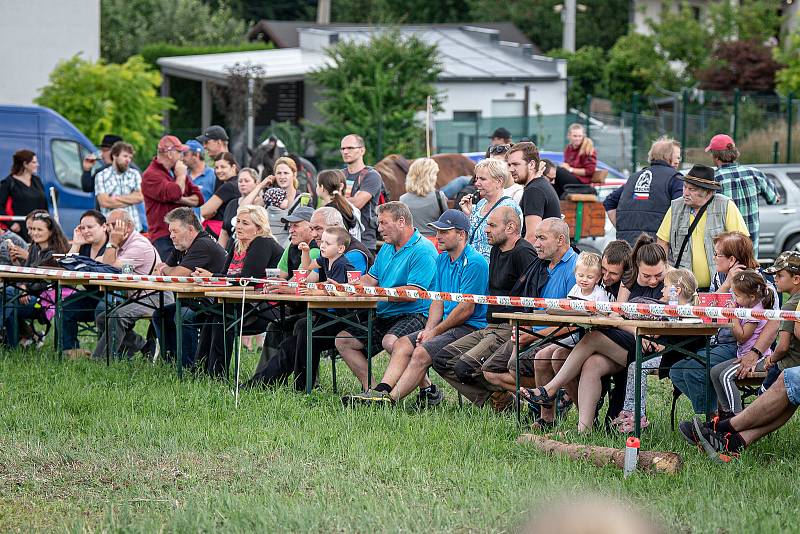 Kvalifikační závod na mistrovství ČR v kombinovaných soutěžích chladnokrevníků, 9. července 2022, Bobrovníky.