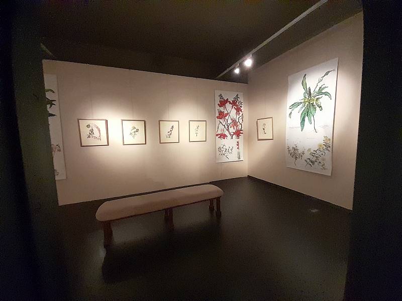 Výstava Flora Africana. 1. července 2022, Opava.