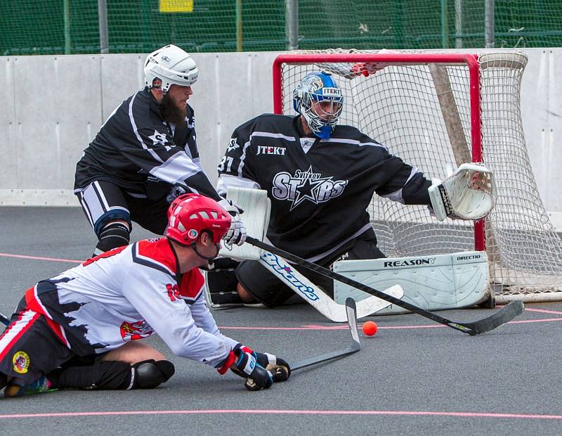 SHC Opava – Svítkov Stars Pardubice 2:1