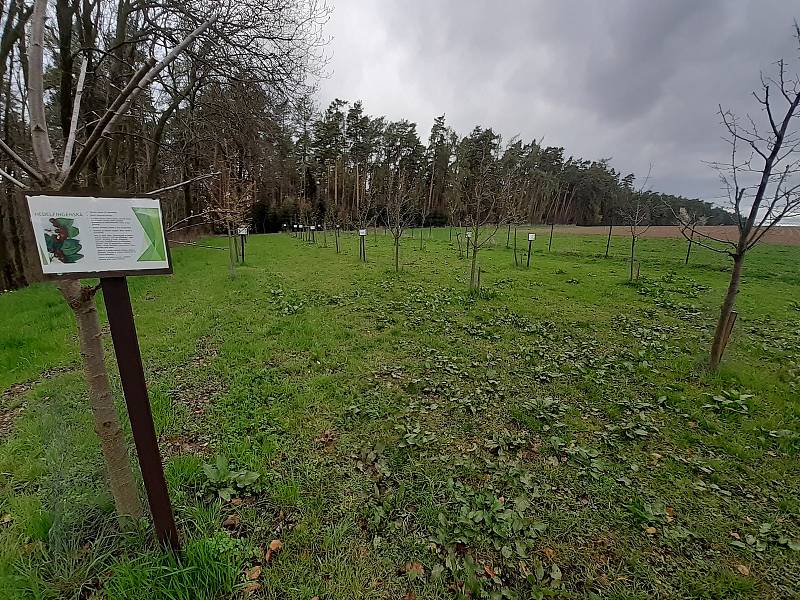 Arboretum Nový Dvůr.