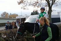 Amatérská jezdkyně Natálie Galvasová z Opavy v sedle klisny Celestine