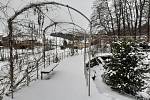 Novodvorské arboretum v zimním období. 23. ledna 2022, Stěbořice.