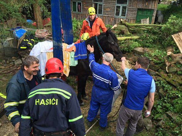 Čtyři jednotky hasičů se podílely ve středu odpoledne v Kružberku na úspěšné záchraně dospělého koně, který spadl do hluboké studny.