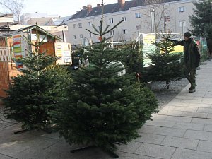 Vánoční stromky v Opavě.