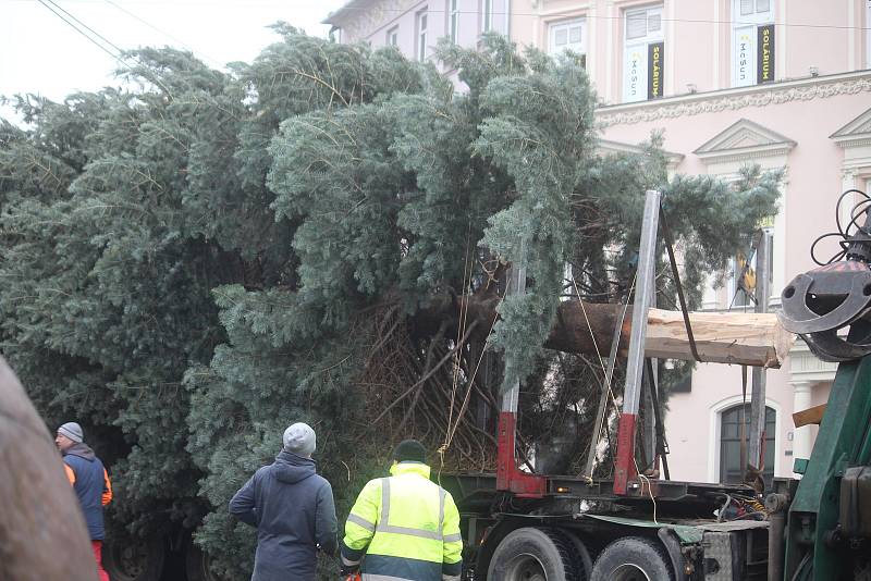 Instalace vánočního stromu na Dolním náměstí v Opavě. 22. listopadu 2022, Opava.