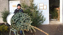 Prodejce vánočních stromků David Slavata před starou kotelnou v ulici Boženy Němcové v Opavě.