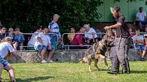 18. ročník Sportovních her tělesně postižených v Hrabyni – Memoriál Vladimíra Plačka