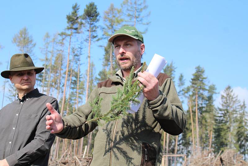 Chřadnutí lesů a nadměrná těžba kůrovcem napadených stromů je v Moravskoslezském kraji velkým problémem.