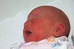 Kristýna Mrovcová  se narodila 16. ledna, vážila 2,95 kg a měřila 49 cm. Je druhým miminkem Zuzany a Luďka Mrovcových z Oldřišova. Na Kristýnku doma čeká tříletý bráška Pavlík.