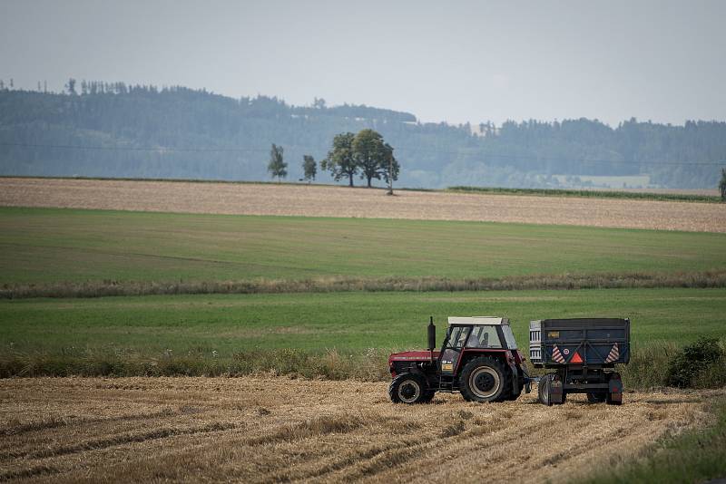 Žně u Opavy, 7. sprna 2019. V Hlavnici pomáhají Slováci.