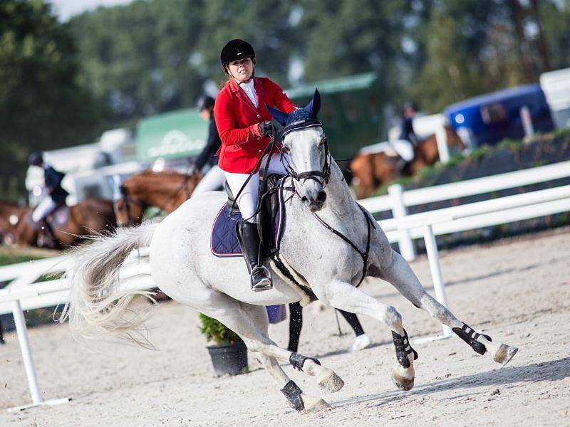 Dvoudenní parkurový maraton dopadl pro Jezdecký oddíl z Kateřinek více než dobře, a to jak z pořadatelského, tak sportovního hlediska.