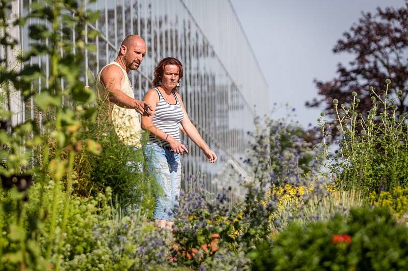 V těchto dnech láká Arboretum Nový Dvůr své návštěvníky na výstavu balkonových rostlin. Pokud hledáte inspiraci pro váš balkon, okno nebo terasu, můžete ji najít právě zde.