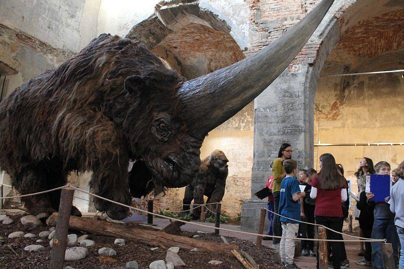 Výstava Giganti doby ledové rozhodně má na to, aby návštěvníky zaujala. Zvlášť v podmanivém prostředí kostela svatého Václava.