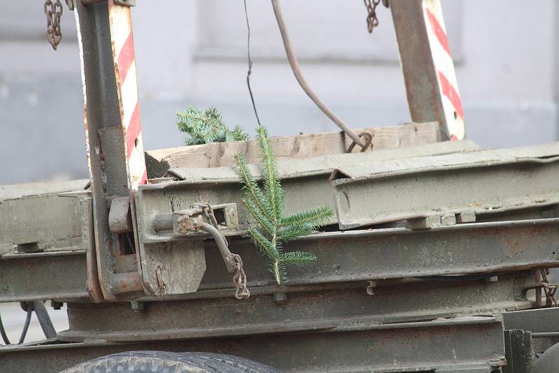 Instalace jedle obrovské na Dolním náměstí, středa 18. listopadu 2020.