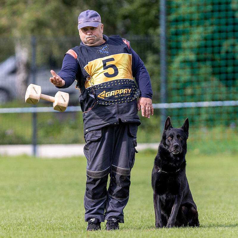 Mezinárodní kynologická soutěž seniorů.