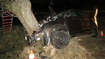 Auto narazilo do vzrostlého stromu, řidič nepřežil.
