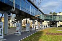  Výstava v areálu Slezské nemocnice.