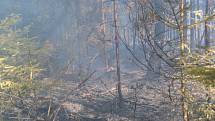 Zásah hasičů u požáru lesa na Opavsku, neděle 30. června 2019.