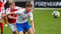 U19 Česko - Dánsko 1:1