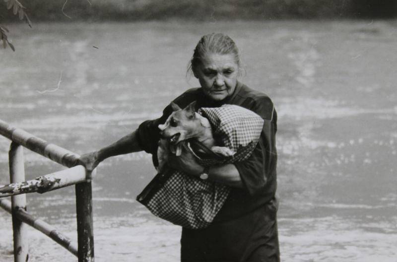 Fotografie, jež se stala symbolem povodní. Na snímku je zachycena důchodkyně Anna Vaňhárková se svým psem v náručí, jak během pondělí 7. července 1997 opouští záplavovou zónu. Snímek byl pořízen jen několik hodin před její smrtí.