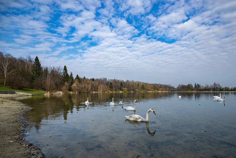 Stříbrné jezero v Opavě. Ilustrační foto.