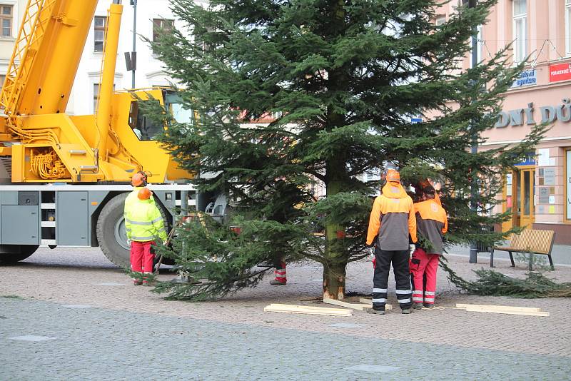 Instalace jedle obrovské na Dolním náměstí, středa 18. listopadu 2020.