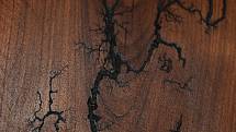 Chalupář Petr Kruk má krásný vztah ke dřevu i technické znalosti. Výsledek v červenci představí výstava Chalupářské dřevěnění ve Vysoké Bartultovicích.