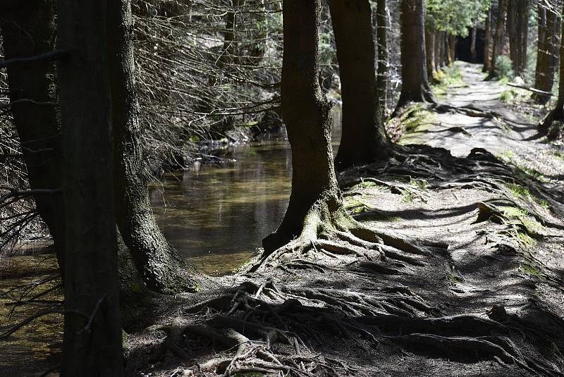 Udělejte si někdy výlet kolem náhonu, který přivádí vodu pro umělý vodopád v Karlově Studánce.