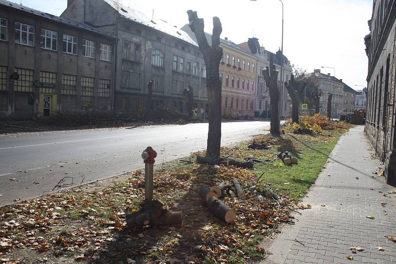 Zeleň v Soukenické ulici v Krnově právě prochází radikální změnou.