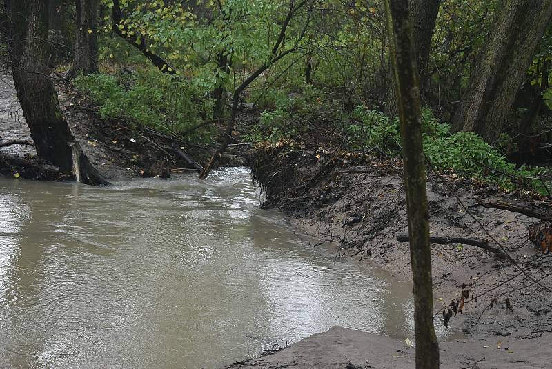 Třístupňová kaskáda bobřích hrází v Lužné byla přírodovědnou atrakcí Osoblažska. Po povodni z ní zbyly jen protržené hráze a rozbahněná plocha, která připomíná rozlohu zátopové oblasti.