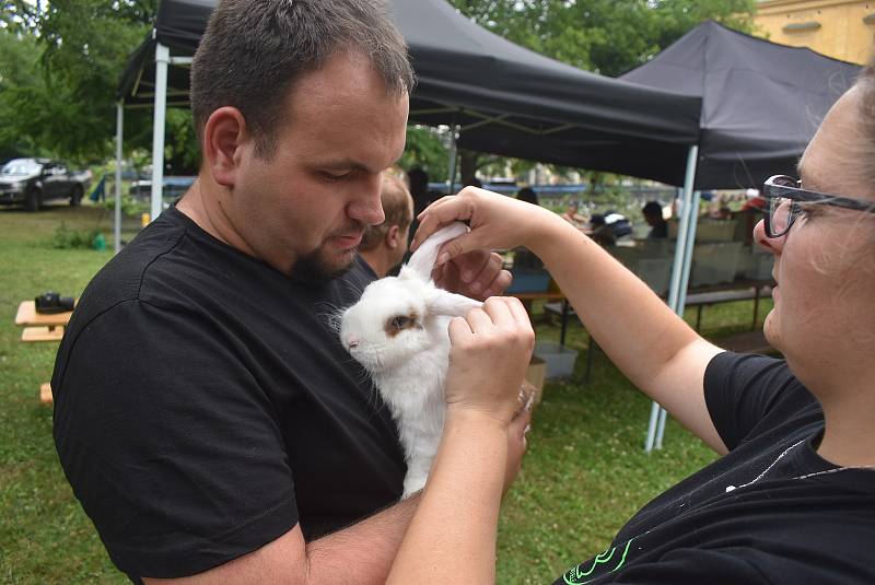 Zámecký park posloužil Základní organizaci Českého svazu chovatelů Slezské Rudoltice k uspořádání výstavy.