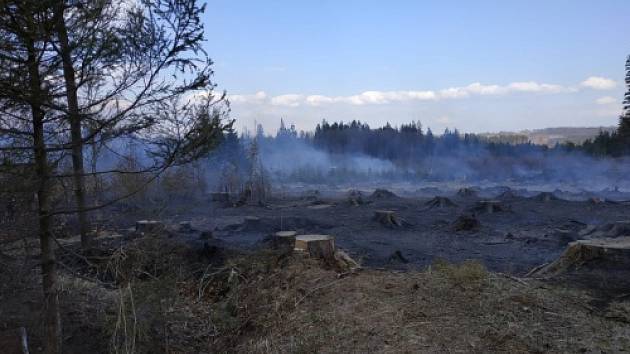Čtvrteční požáry v přírodě zaměstnaly hasiče na Bruntálsku.