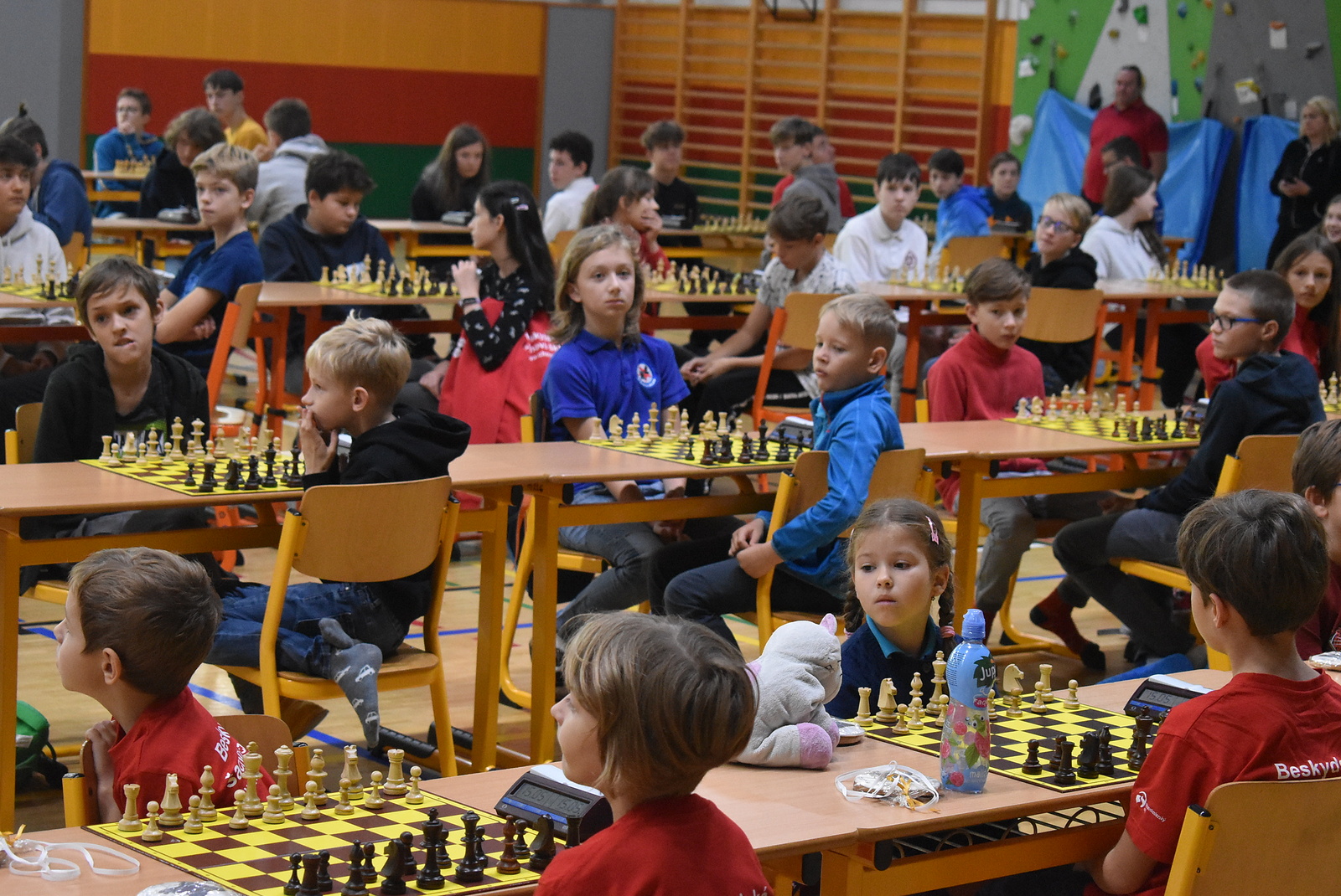 Mladí šachisté hrají extraligu, Mistrovství ČR plánují v Krnově -  Bruntálský a krnovský deník