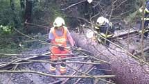 Odstraňování stromu spadlého v bouřce na trať u Rýmařova. 