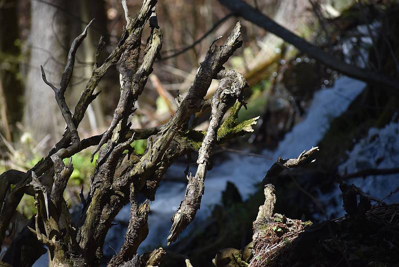 Udělejte si někdy výlet kolem náhonu, který přivádí vodu pro umělý vodopád v Karlově Studánce.