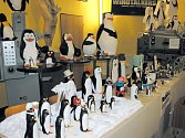 Předsálí kina zdobí několik plastických tučňáků, které vytvořily děti v rámci soutěže „Vytvoř figurku tučňáka“.