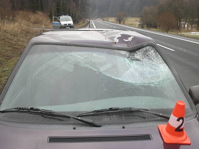 Rozbité čelní sklo na felicii čtyřiapadesátiletého řidiče způsobil jelen, který mu vběhl pod kola. 