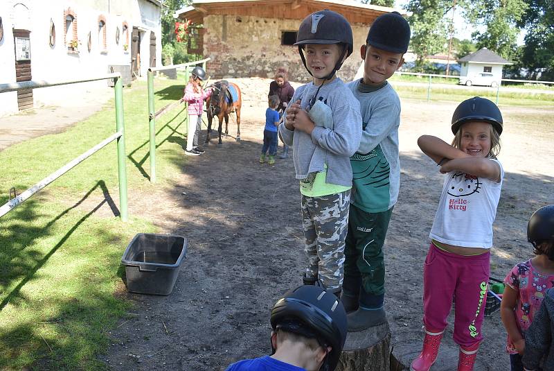 Mini farma Pavlíny Václavíkové je farma plná zvířat i dětí. Pořádá příměstské tábory ve spolupráci s Mikroregionem Osoblažsko a nabízí farmářské zážitky v rámci agroturistiky.