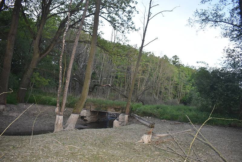 Po protržení bobří hráze u Slezských Rudoltic bahno ukazuje, jak byla nádrž před vypuštěním hluboká a rozsáhlá. 20. 5. 2022.