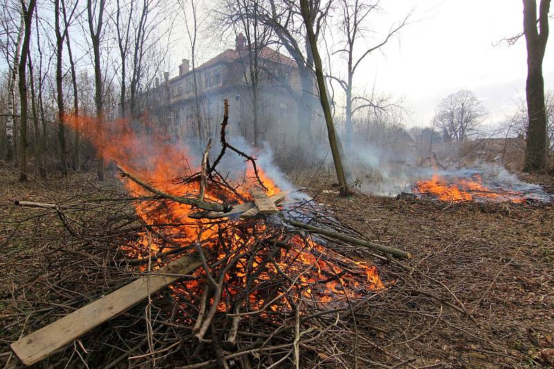 Zanedbaný sad v lokalitě Papírového mlýna díky dobrovolníkům získává novou tvář. Podařilo se jim zde udělat kus dobré práce.